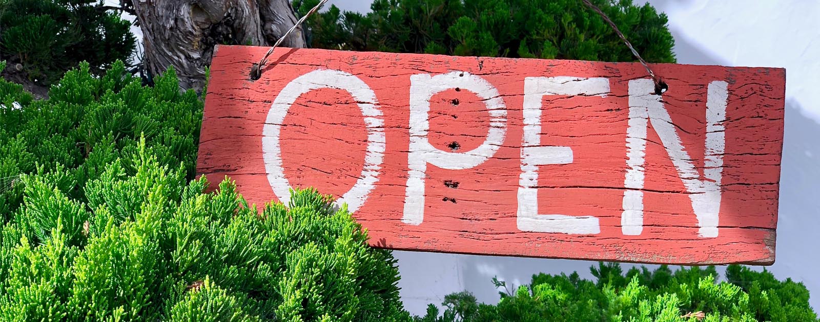 For Many Local Businesses, the Path to “Next Normal” is Reinvention