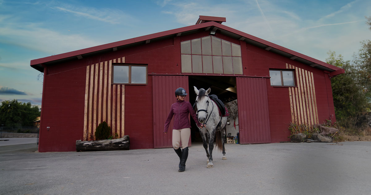 Lakeland Greenlights Equestria: A 15-Year Dream Takes Shape